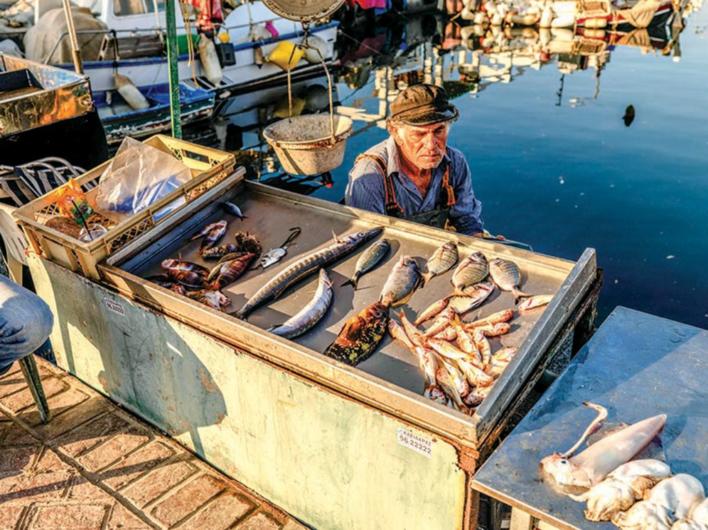 Fresh fish from the open-air fish market.