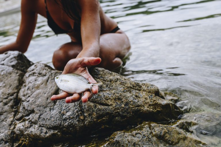 The luxury of simplicity