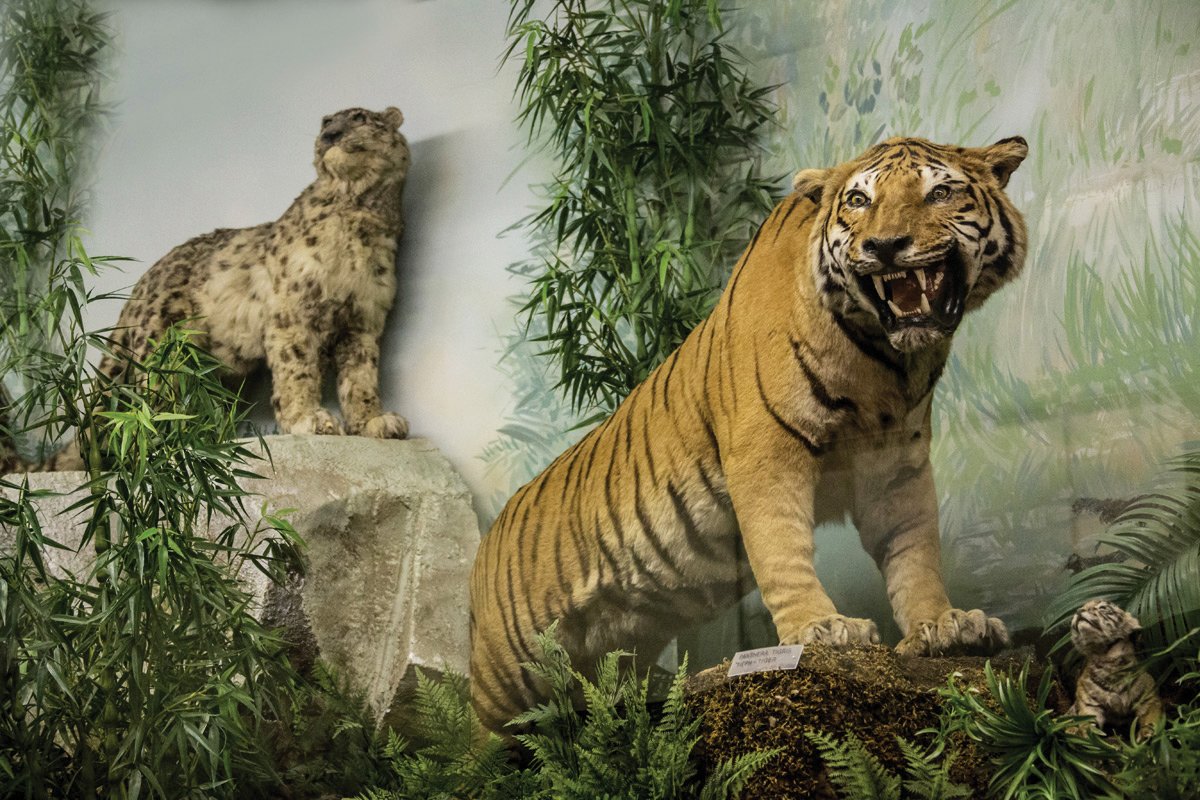 Athens north suburbs Kifisia